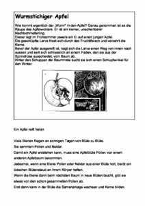 Vorschau themen/apfel/Wurmstichiger Apfel.pdf